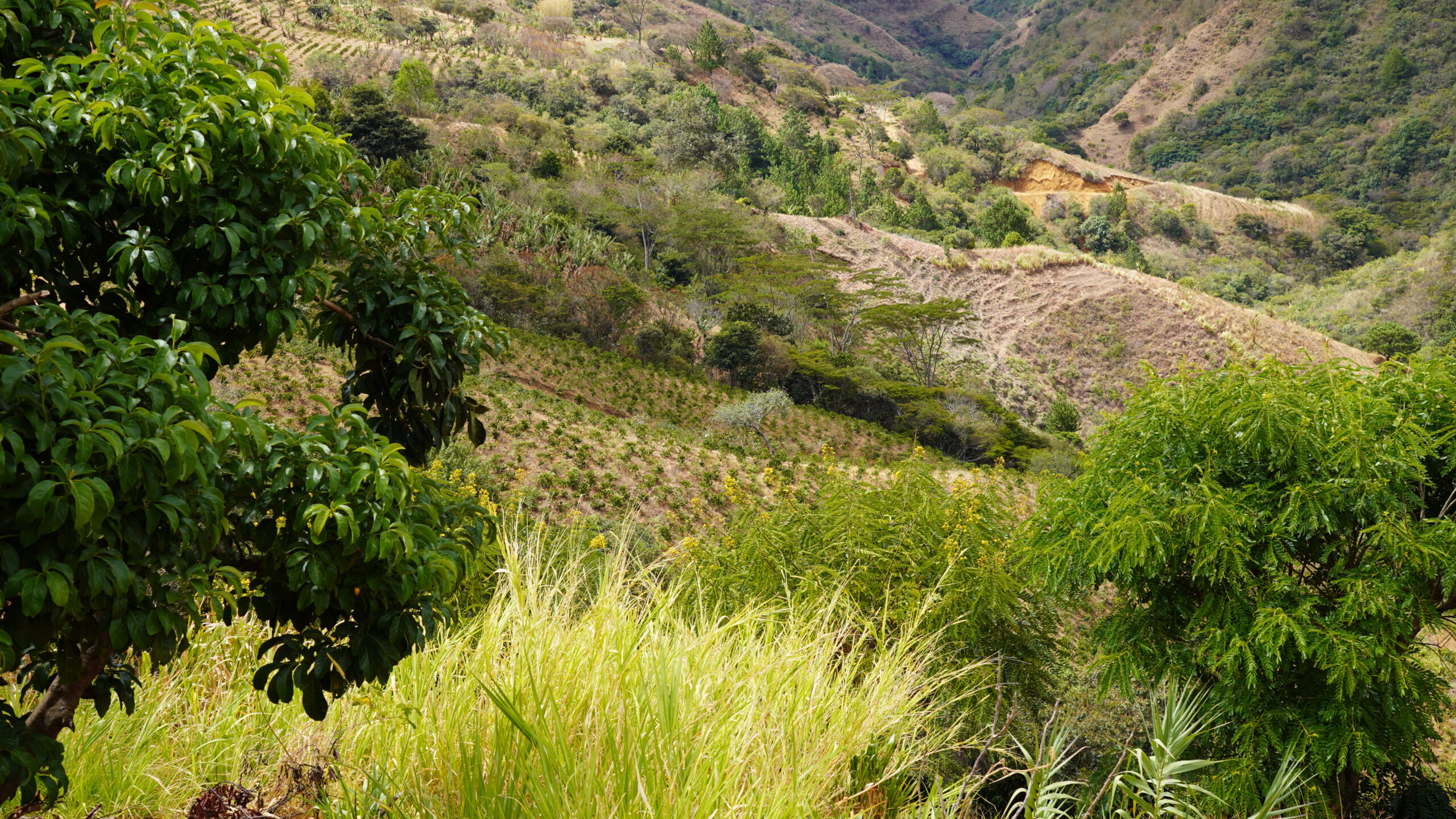 Mountain landscape