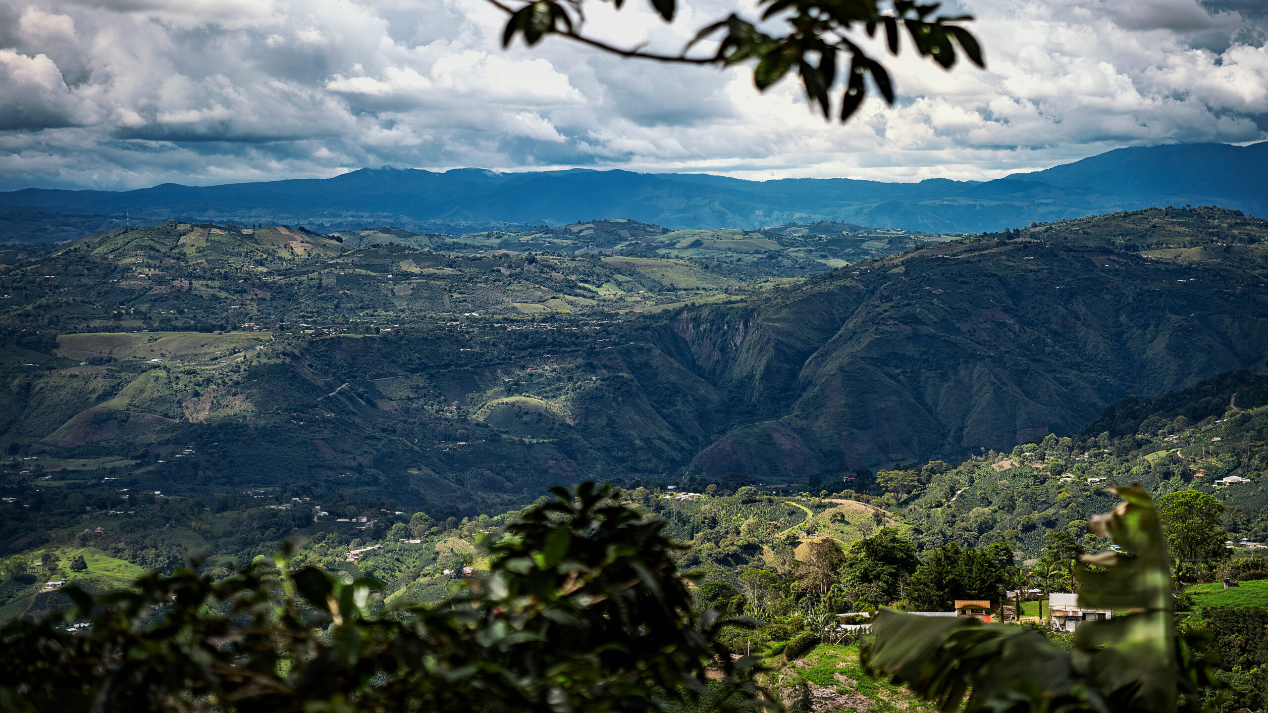 Mountain landscape with coffee farms and a deep green valley